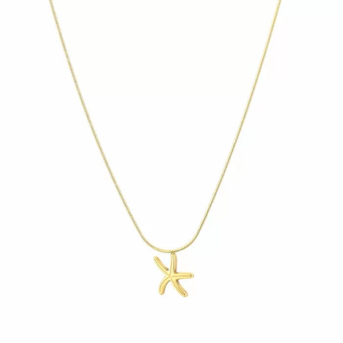 Necklace Starfish
