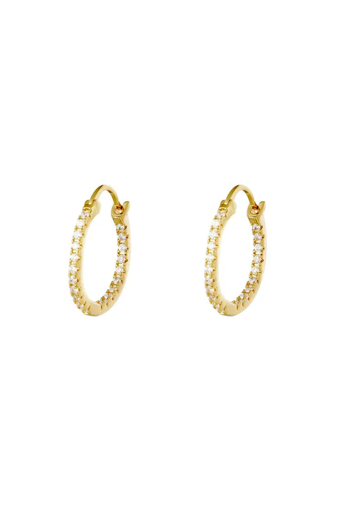 Earrings Hoops