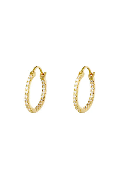 Earrings Hoops